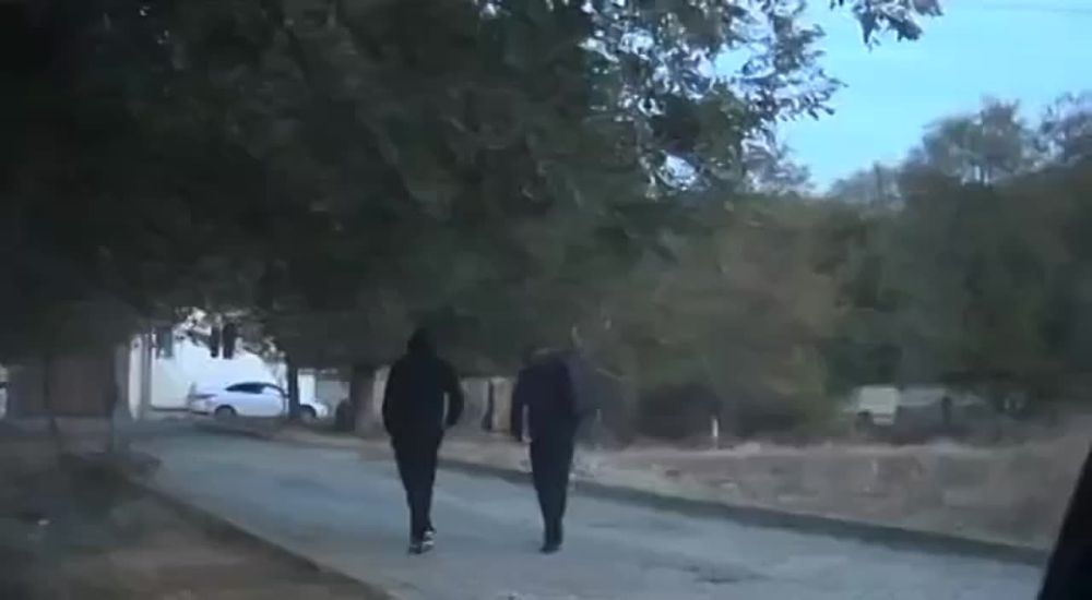 � ���� ��������� ����� ���������� ��������������� ��������-�������