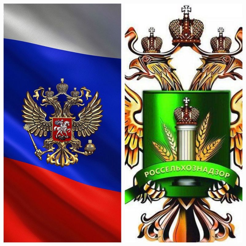 ��������� �������������� ���������� ������� ����������� ���� ������� ���������� � ����������� ��������, �������� � ��������� ��������� � ����������� ��������� � ������������� � ������ ������