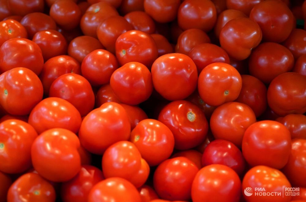 ���������: ������ � ��������� ������� ������ ���������� �� ��������� ������