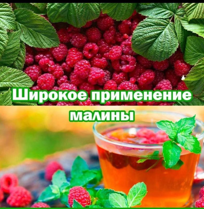 ������ �������� �������� ���������, � ����� ��������� ��� ��������� ��������� � ������������