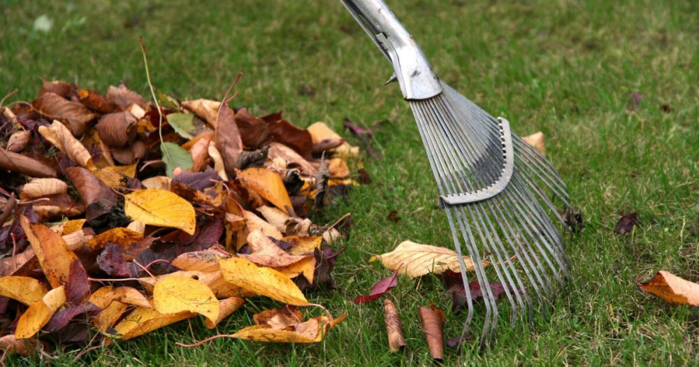 � ���� ����������� ���������� ������� ������������ ���������������