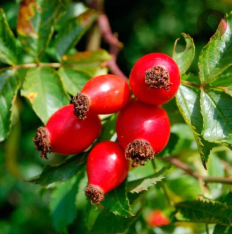 ��� ����� ����� �������� � ������!