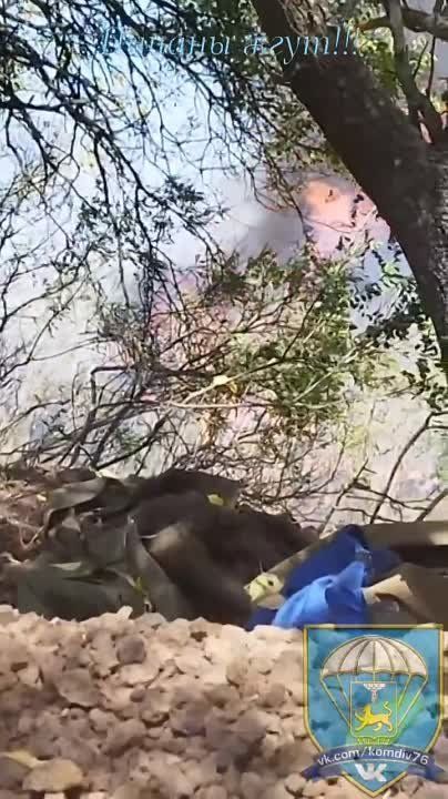 ��������� ���������� ���� ������������ ��� �� ���������� �����������