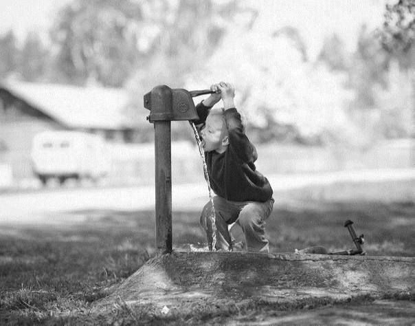 ���� ���� ����� ���� �� ������� - �������