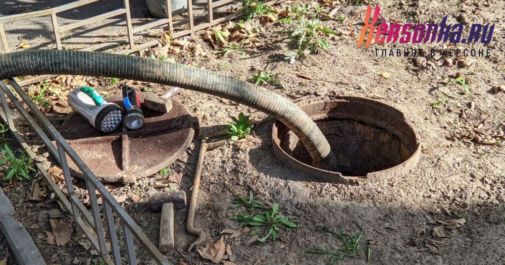 �������� ���� ����� �� ������� �� ����