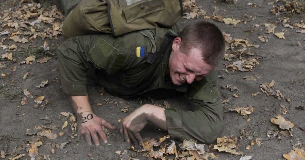 ����� �������� � ���������������� ������� ��� ��� ��������