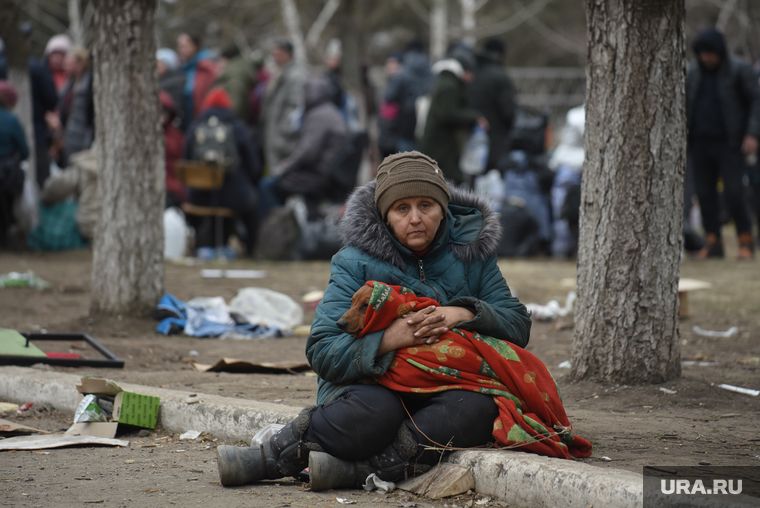 � ����������� ������� 729 �������� �� ���� ������� �������