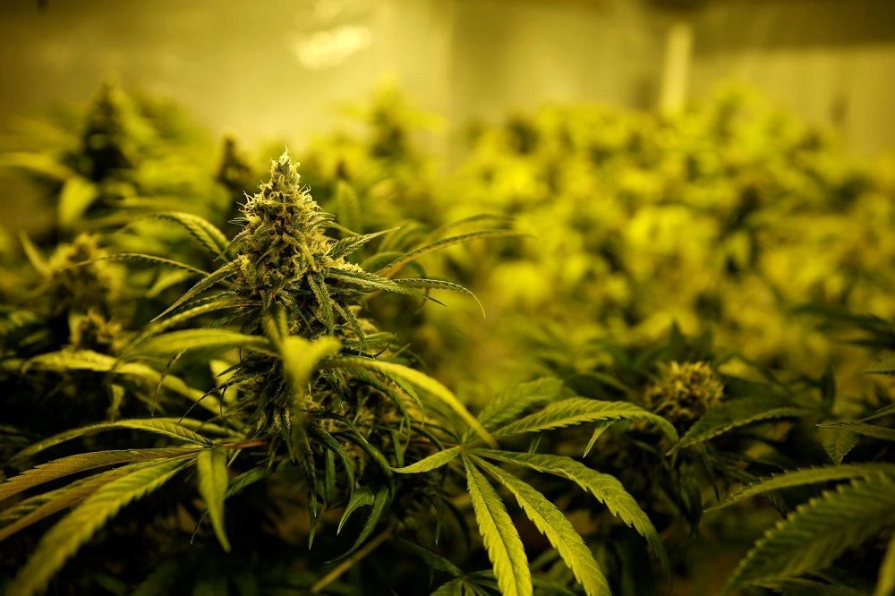 � ��������� ������ ������ �������