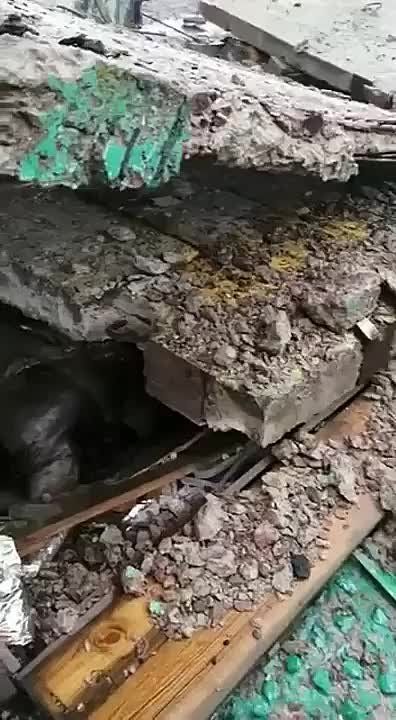 ����������� ��������� ��� 2 ���� �� ����������