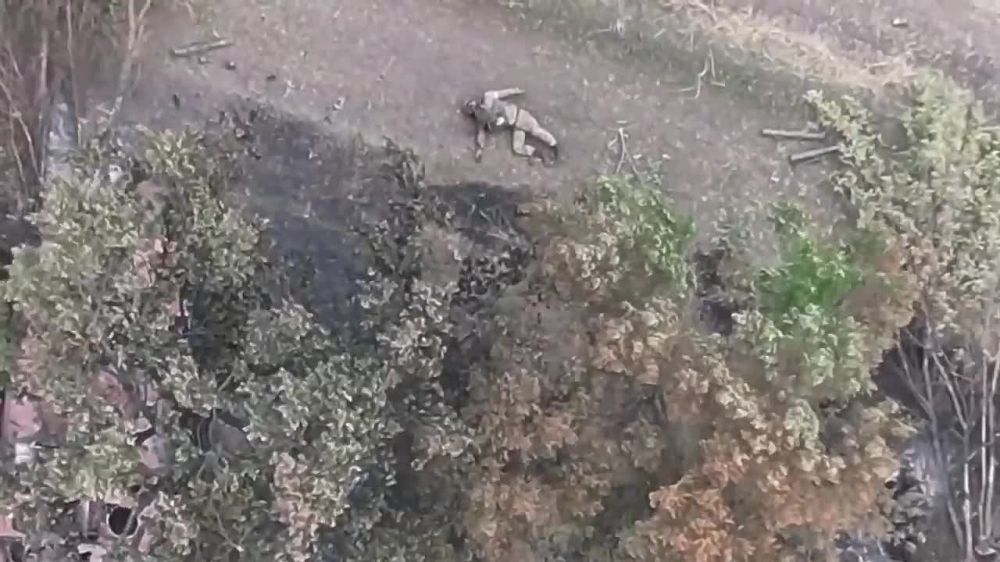 ������ ���������� 11-� ��������� ����������� ��������-��������� ������� �� ������� �� ������� ������������ ��� �� ���������� �����������