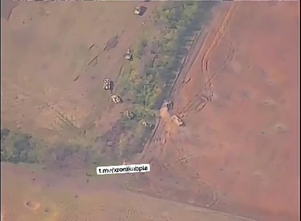 ��� �������� �������� ���� ����� ������� �� ���������� ����������� � �������������� � ����������� ���������� � ���������