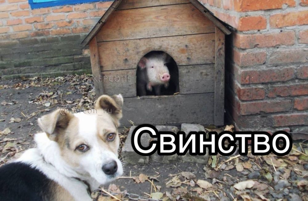 ����������� ���������� ������ � ������������ � �������� �����