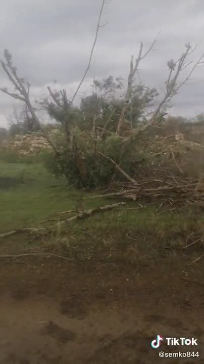 �������� ��������� ����� ����������� ������ �������� � ������� ���������� ���� �������� ������������� ������ ���������� �������