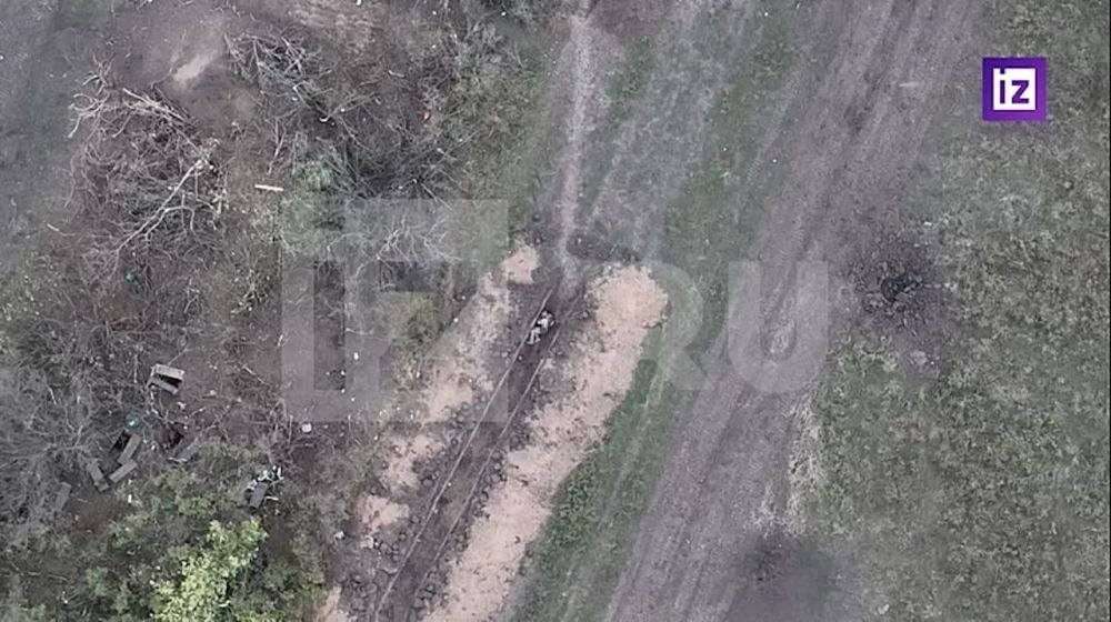 ������ �����: ����� ��� �������� ������� ������� ��� � ���� ����������������, ������� ����� �������������� ����� �� ����������