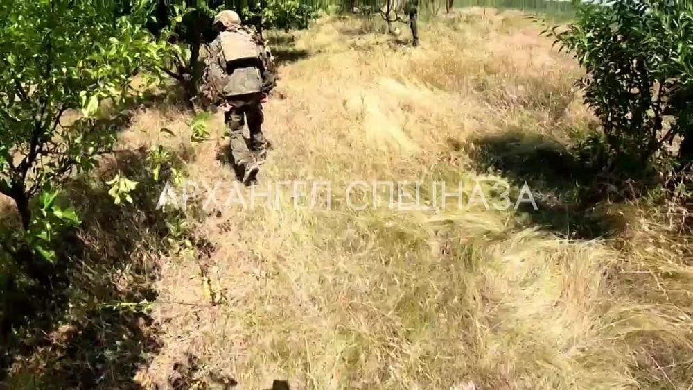 ���� ������� ����, �������� �� ����������� �����������: