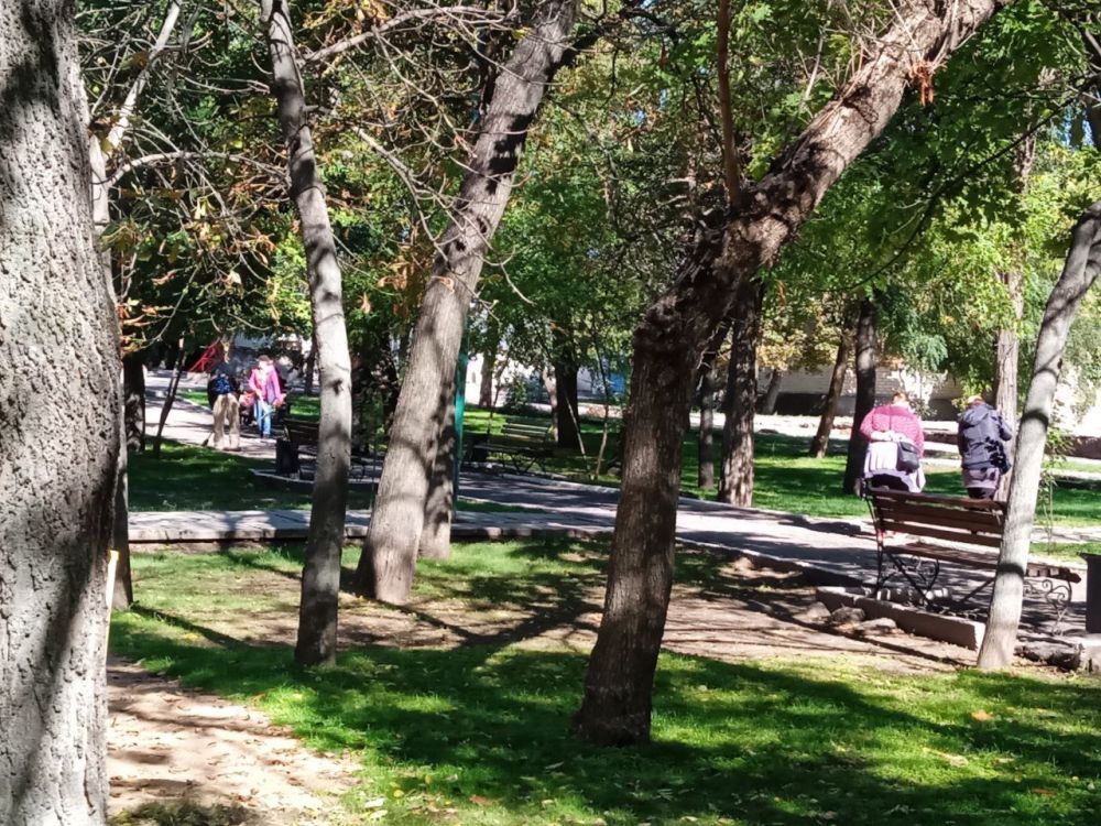 � ������ ������������ ������ ������������ �����