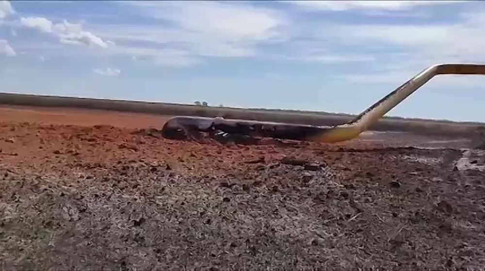 � ����� �������, �� ����������, ��������������� ������������� ����� ��������� ��������