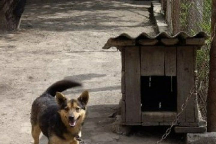 ������ ��������� ������ ���������� �� ����������� � �������� �����