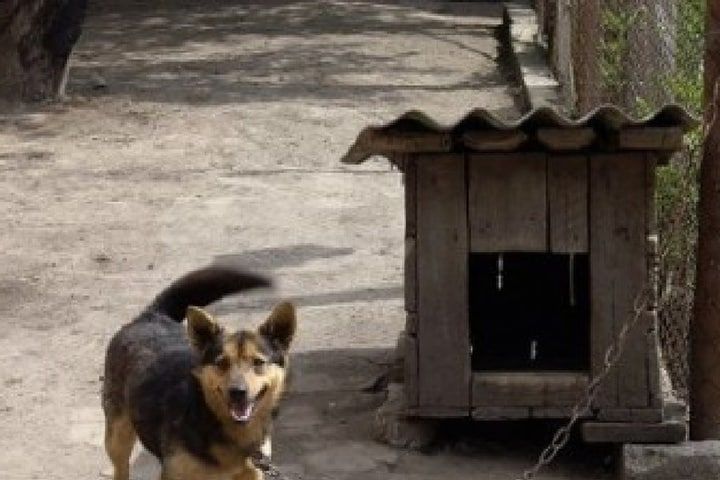 ������ ��������� ������ ���������� �� ����������� � �������� �����