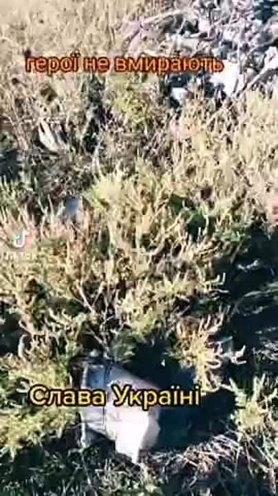 ���������� ������� ����� �������� ��-24� ��� ������� � ���������� �������