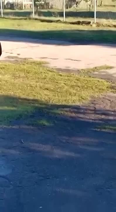 ������ �������: ����� ����� �������� �������� � � ������� ���� ���������� ���. �� ������ ������������� ������� ��������� ������