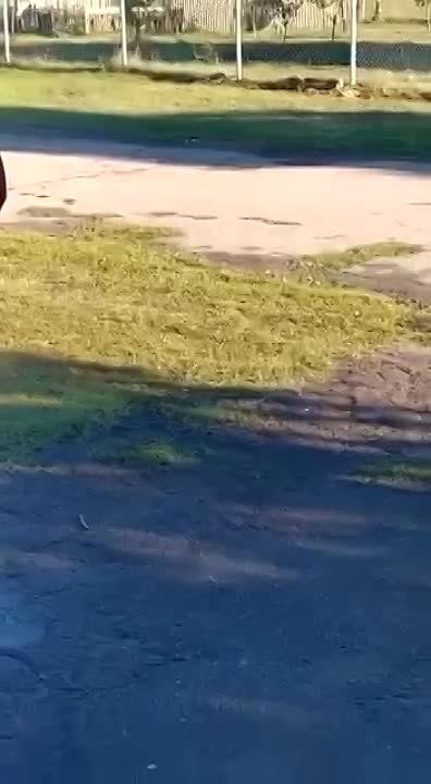 ������� ��� ����� � ������� �� ����������, ����� ����� ���� ����� ��� ������ ���