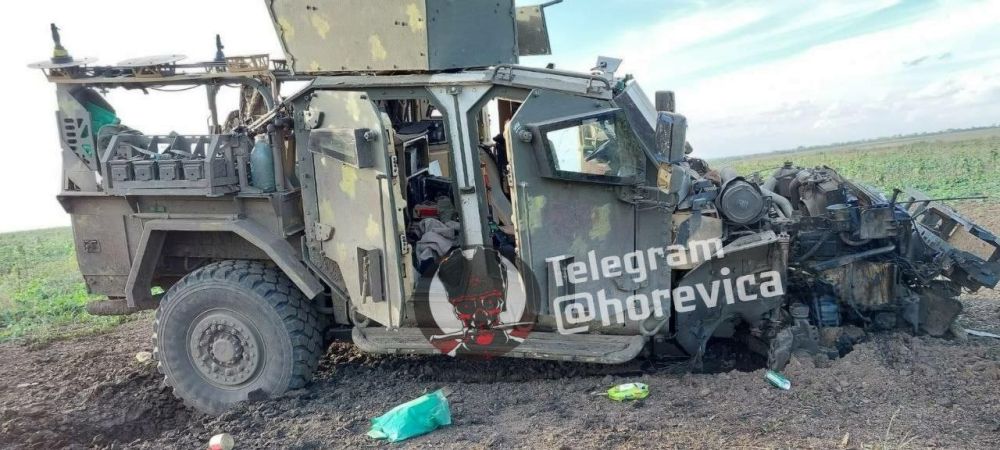 ���������� �� �������������� ��� ���������� ����� ��������������� Husky ���������� �� ���� � ���������� �������