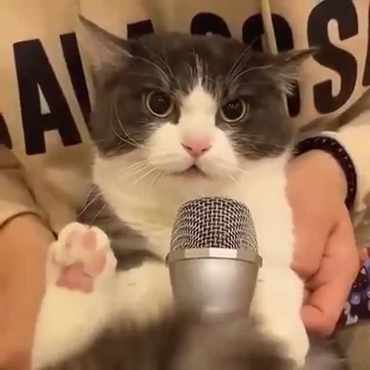 ������: �� ������� ���� ������ ���. ��� �����..