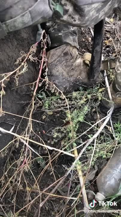 ����� � ����� ��� �� ����������: ������ ������������ ���