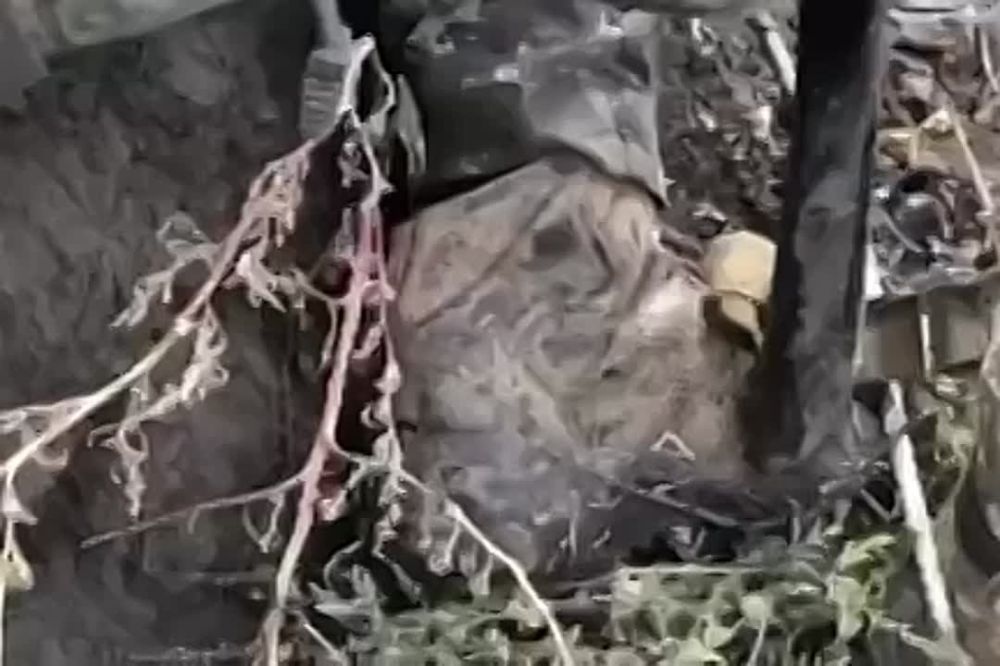 �������� � ������������ ��� �������� ���-70