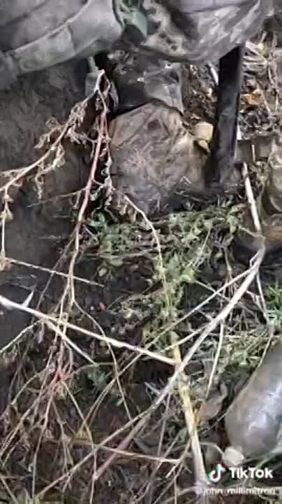 ����������� ���� ������� ��������� � ���������� �������