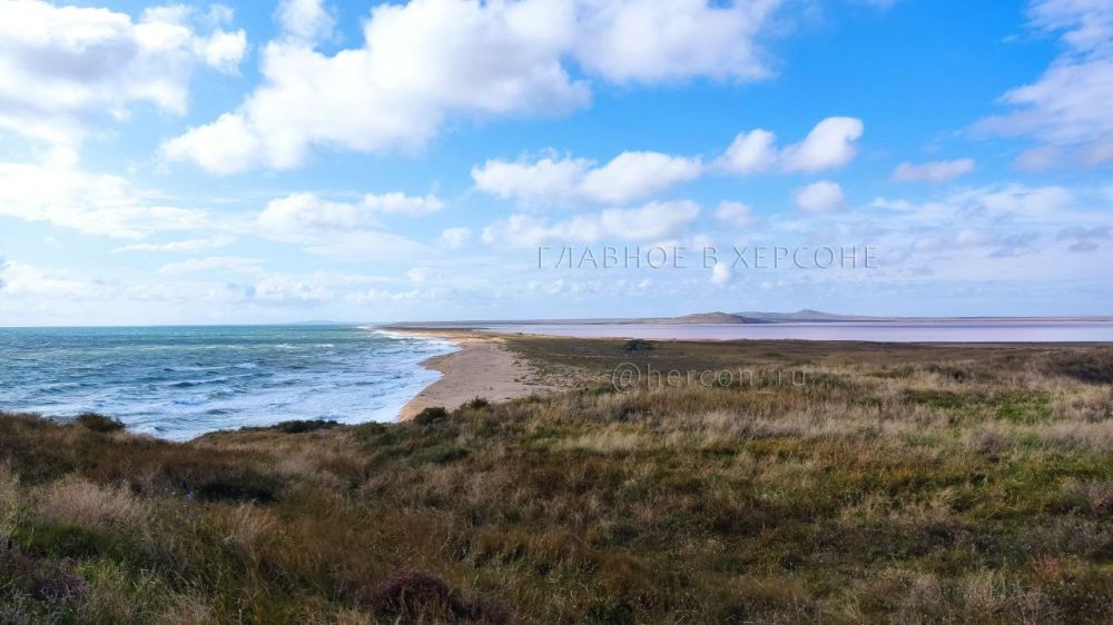 ���� ���������� ������� ������ ������������ � �����