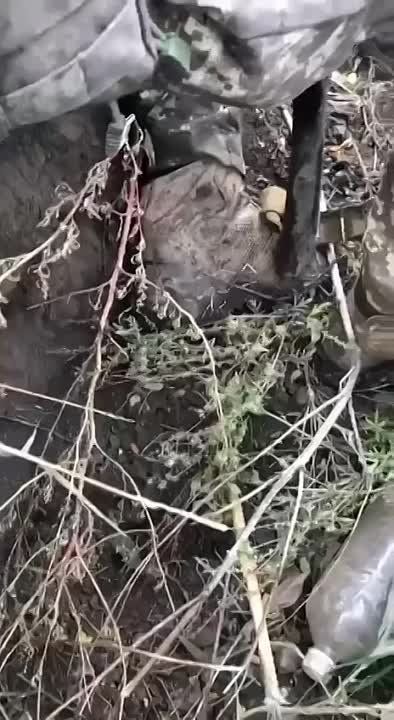 ������ �������: ���� ������ ����� � ������ ���������� ���. �������� ������� ��������, ������ ������ ������ � ����� ����� �����������