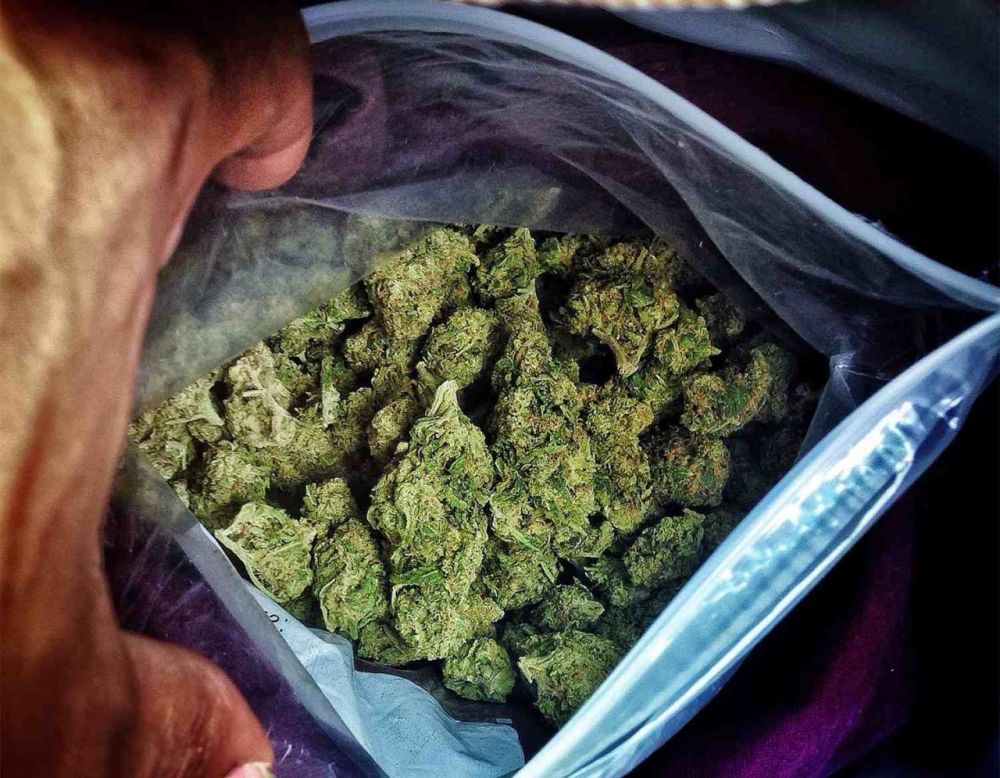 ���������� ����������� ������� ������ �������� �� ����������� �������