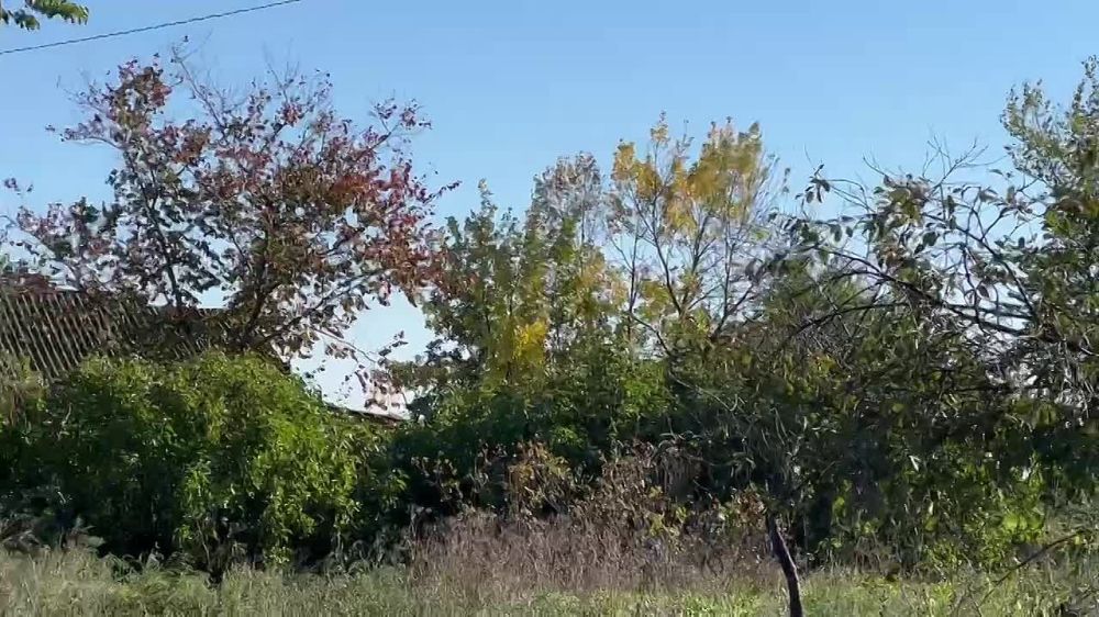 ������ �� ����������� ������ ���������������-�������� ��������� ��-52 "���������" ��������� ������� ��� ������ �� ���������� �����������