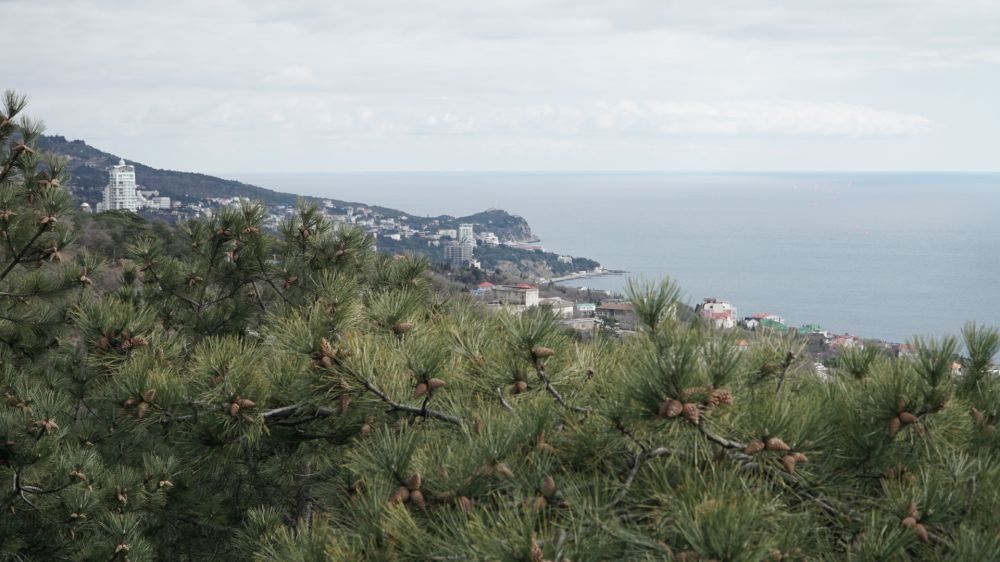 15 �������� ������� ������ �� ����� ����� �� ����������� � ���������� ��������