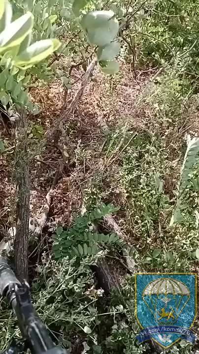 ��������� ���������� � ���������� ������: ���������� � ������������