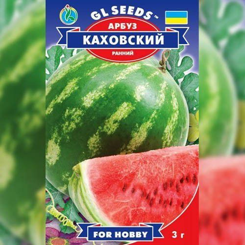 ���������� ���� �11. ����� "���������"