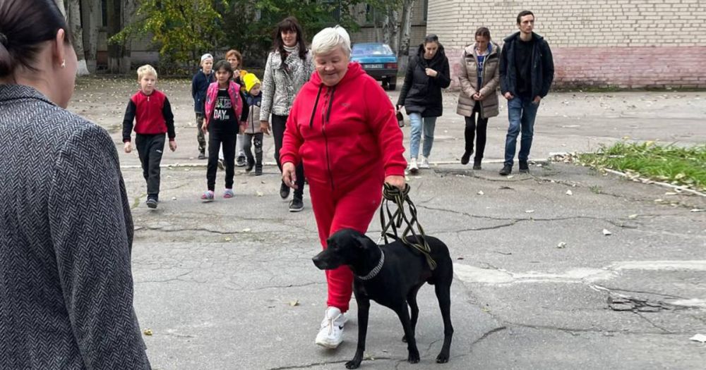 ������� �� ������������� ������ ������ �� ������ � ������