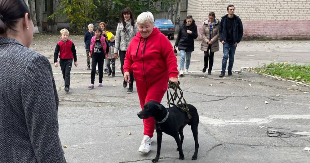 ������ ������������ ��� ������������� ������ ���� ������������ � ������