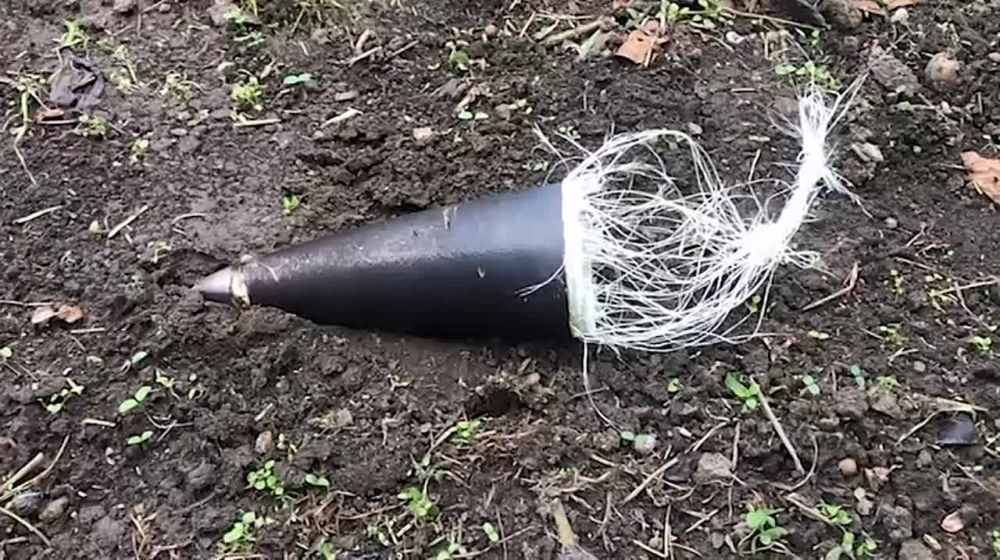 � 4 ���� ����������� ���� ������� ���������� ����� �������