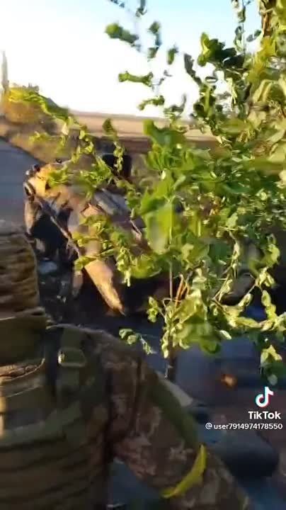 ��� ���� ����� ������������ ������� ������������ ��� (5 ���-70 � 1 ���-80) �� ���������� �����������