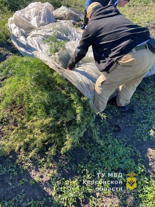 � ���������� ������������� ������ ���������� ������� ������� � �������� ������ ��������� �������