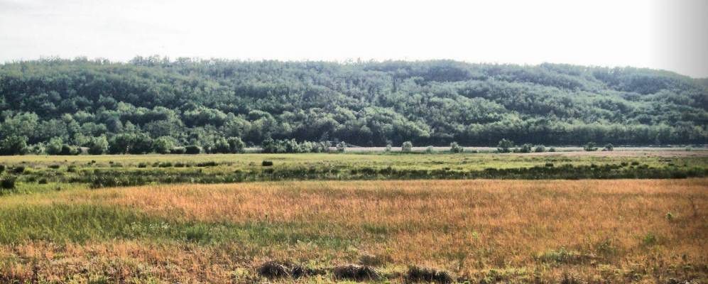 ��� � ����� �����, �������? (1 �����)