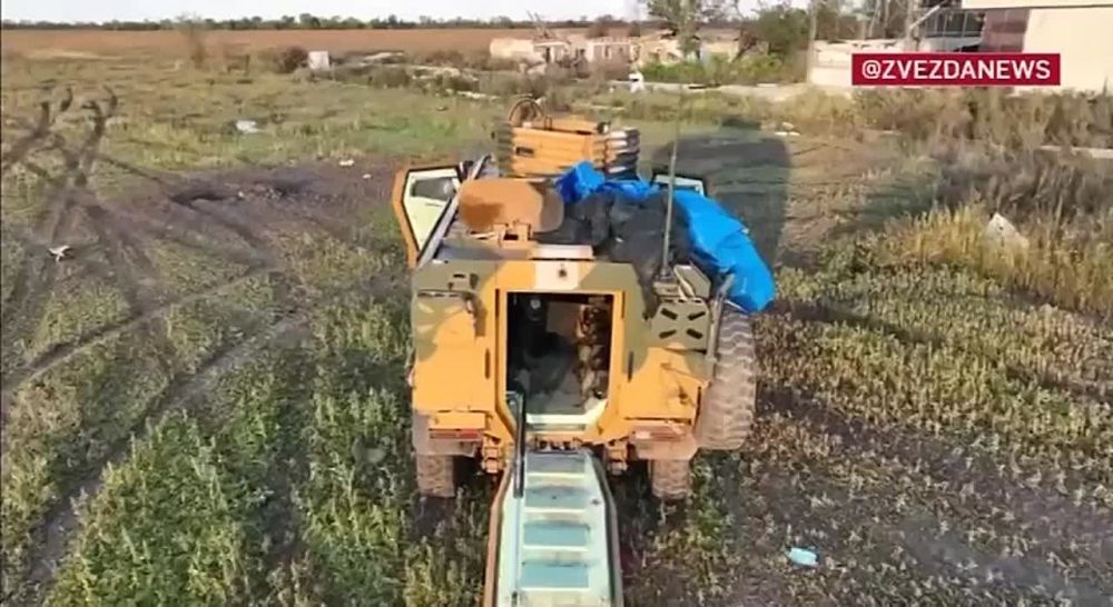 �����-������ ����� ���������� ������� ���������� �������