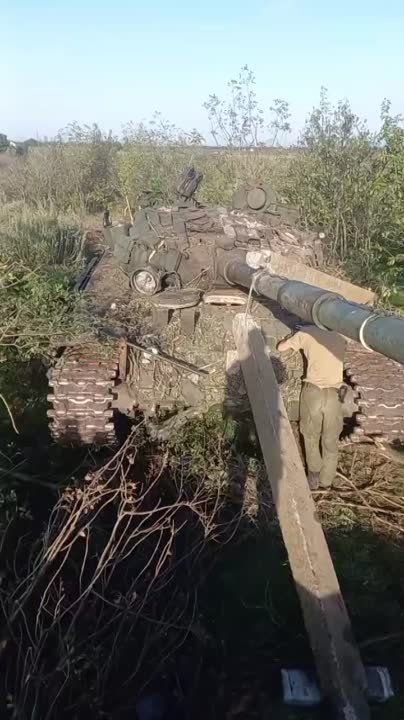 ���� ��� ���� ������� ���������� �����