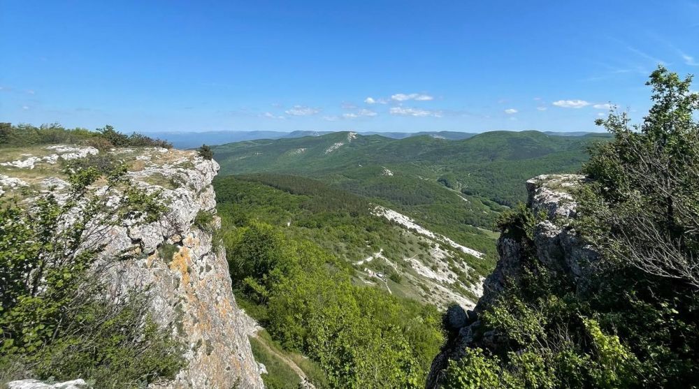 ������ ������� ����� �� ������ ������ �������� � ���� �� �����, - ������