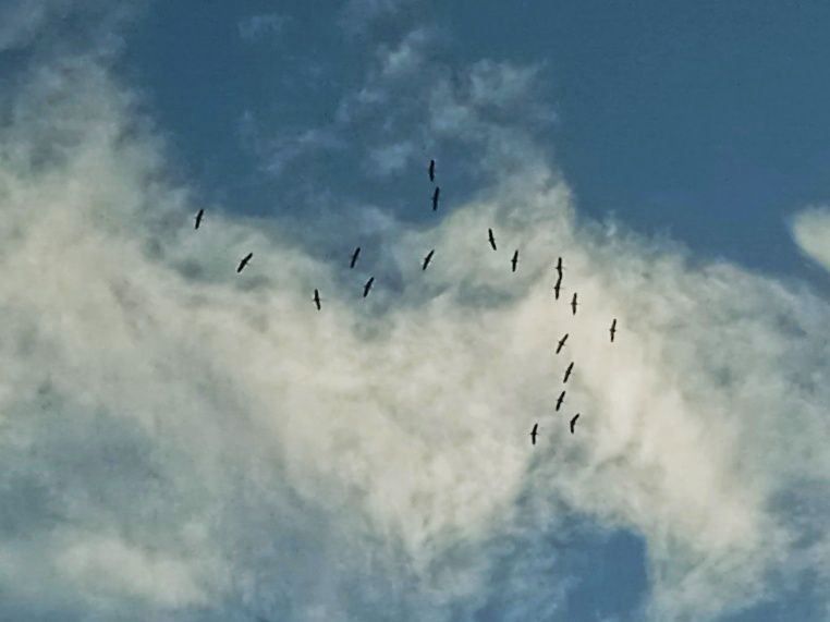 ����� ���� ���!. ��� ������� ( � ������ ���������) ����� �������.