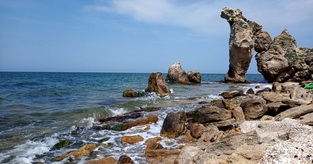 ���� ���������� ������� ����� ��������� � ����