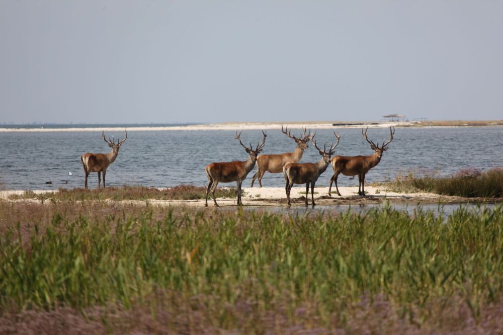 ��������� ������� ��������� ���� ������� ������ � ����� ��� ������ ������ � ���������� ������ ���������� �������